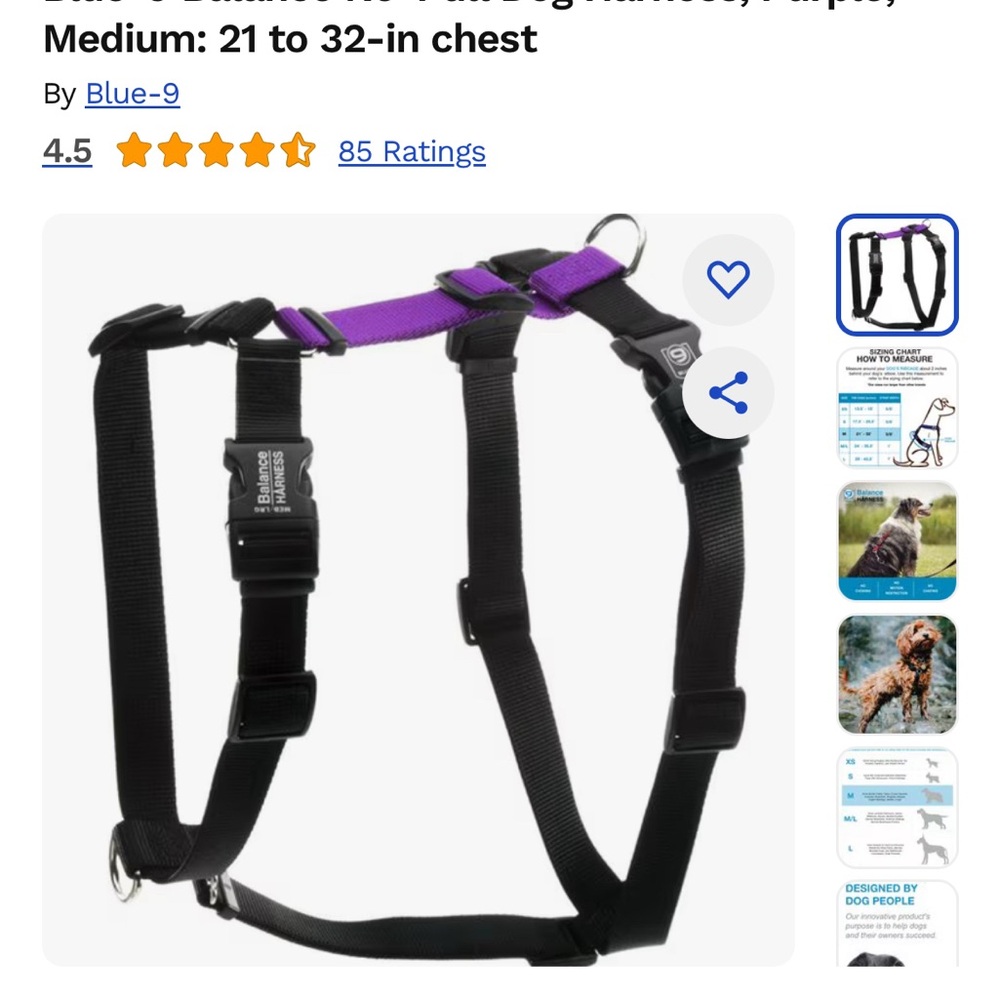 Blue-9 Balance No-Pull Dog Harness - Black and Purple
